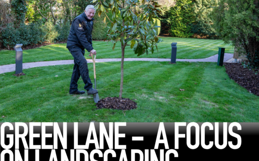 Green Lane: A focus on landscaping